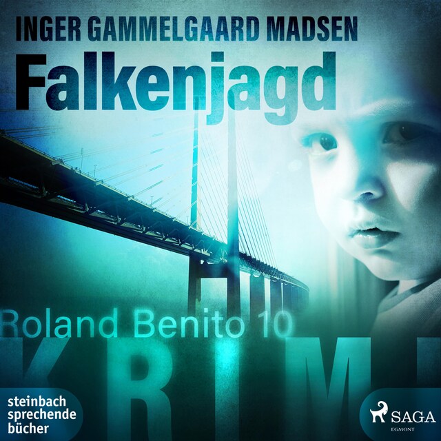 Bokomslag för Falkenjagd - Roland Benito-Krimi 10