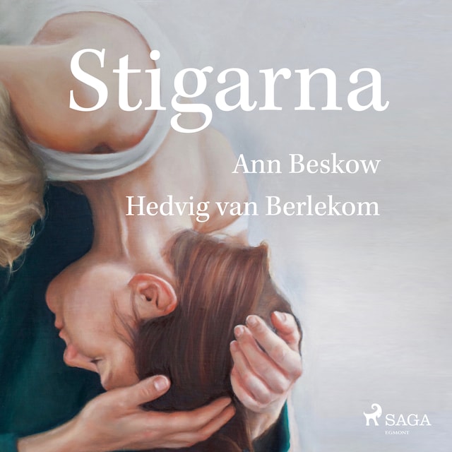 Book cover for Stigarna