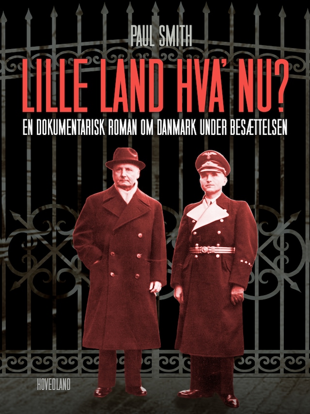Book cover for Lille land, hva' nu?