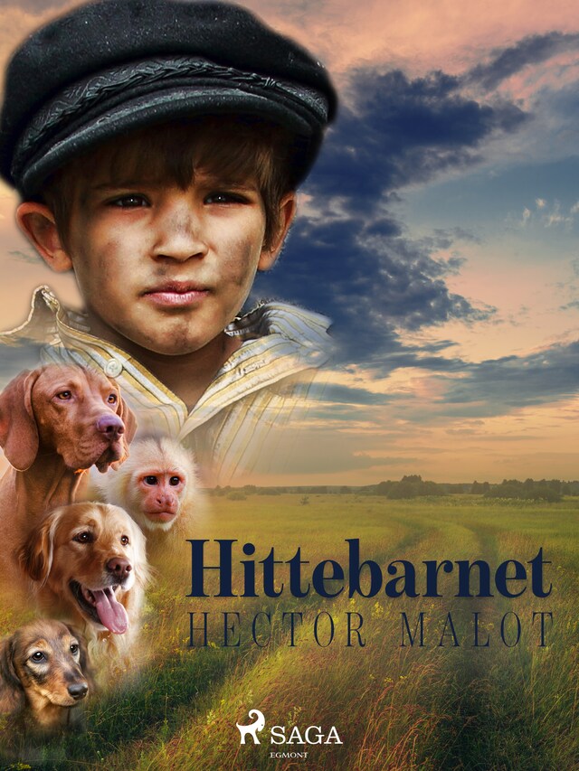 Book cover for Hittebarnet