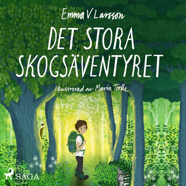 Book cover for Det stora skogsäventyret