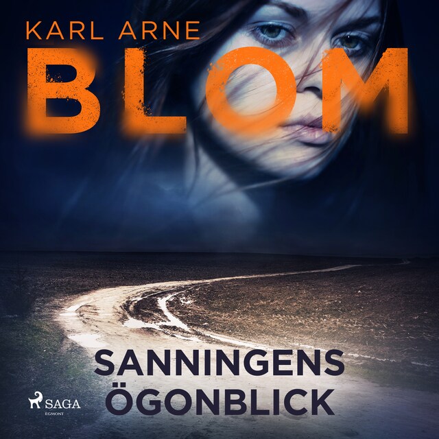 Book cover for Sanningens ögonblick
