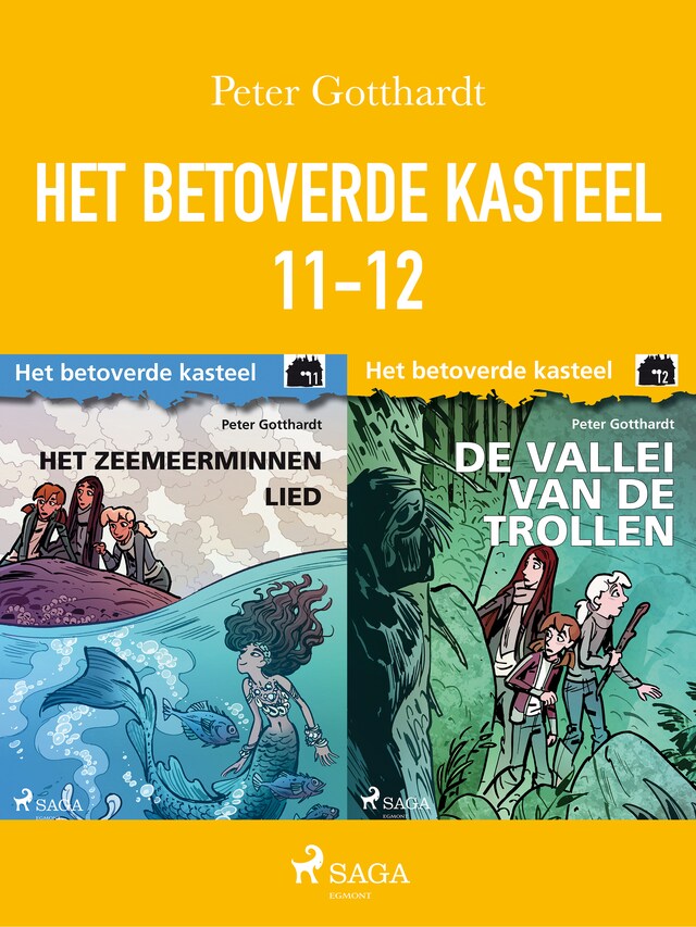 Couverture de livre pour Het betoverde kasteel 11-12