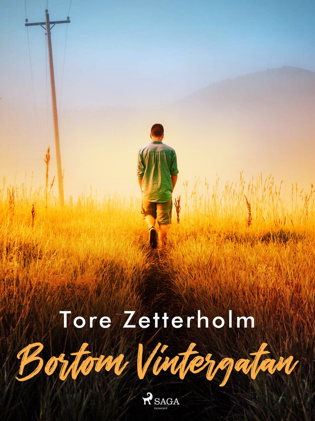 Book cover for Bortom Vintergatan