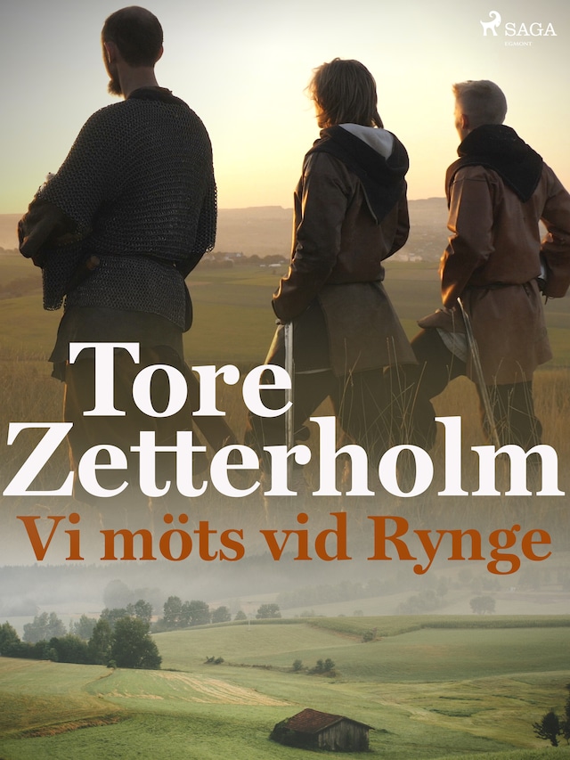 Book cover for Vi möts vid Rynge