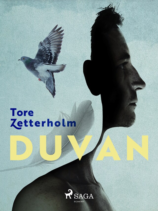 Book cover for Duvan