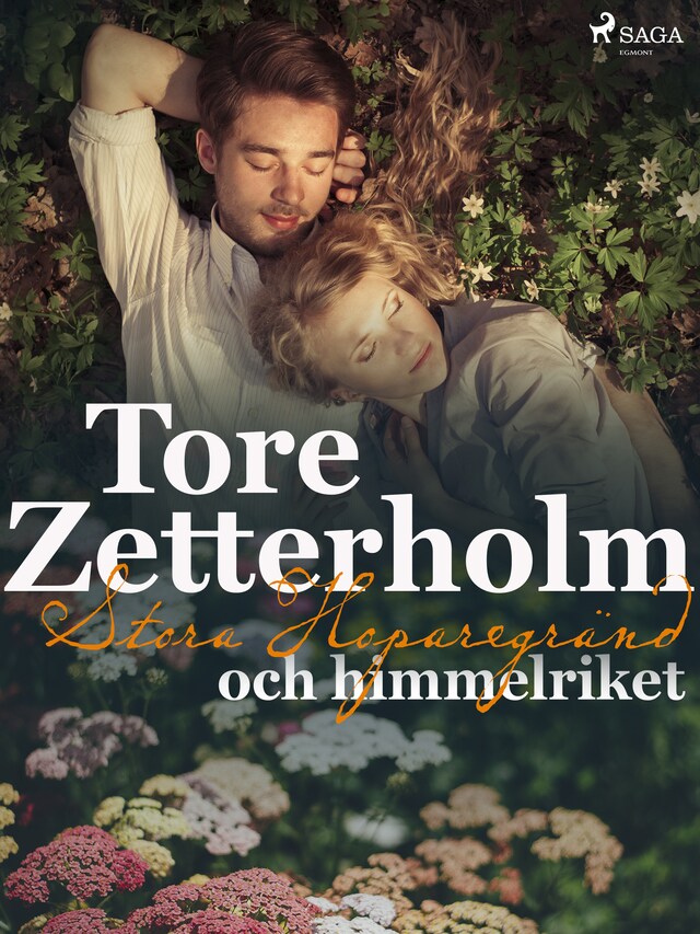 Buchcover für Stora Hoparegränd och himmelriket