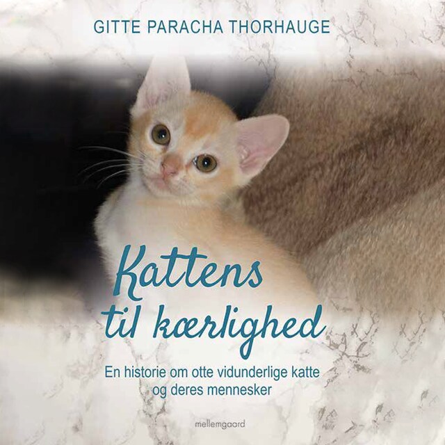 Bogomslag for Kattens til kærlighed - En historie om otte vidunderlige katte og deres mennesker