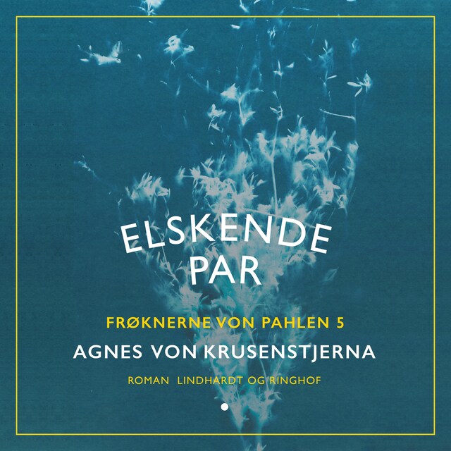 Book cover for Elskende par