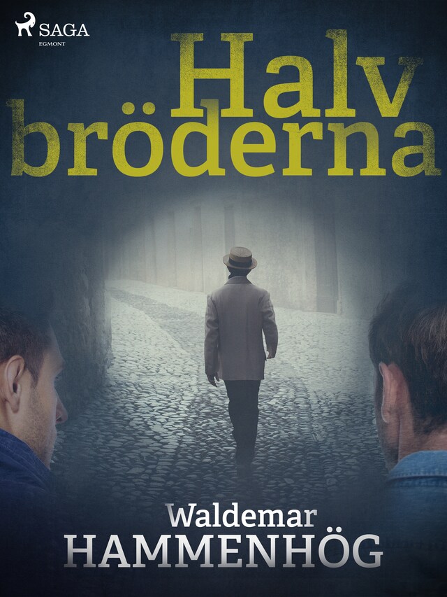 Book cover for Halvbröderna