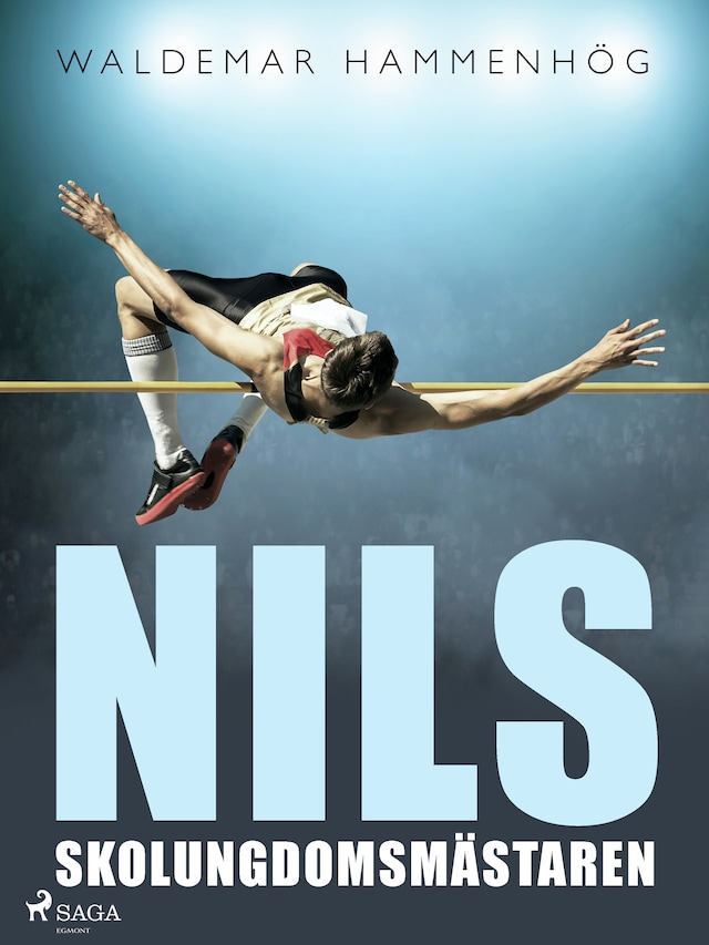 Book cover for Nils, skolungdomsmästaren
