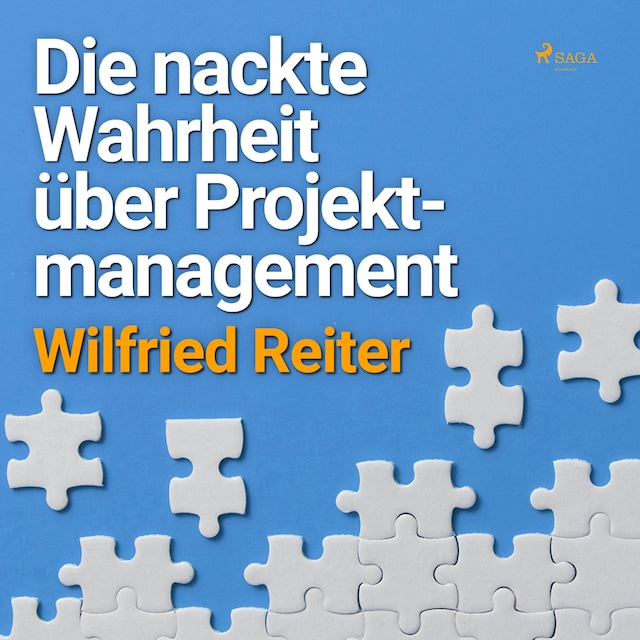 Buchcover für Die nackte Wahrheit über Projektmanagement (Ungekürzt)