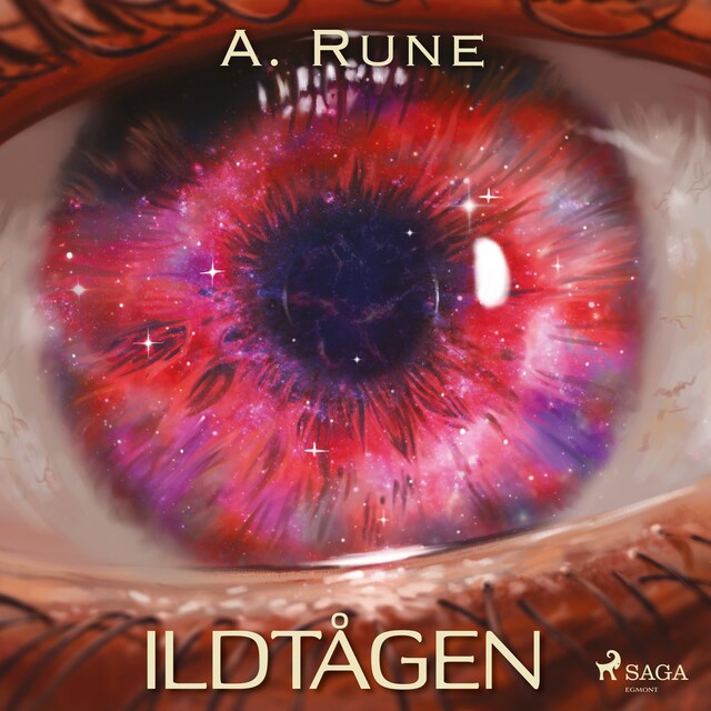 Book cover for Ildtågen