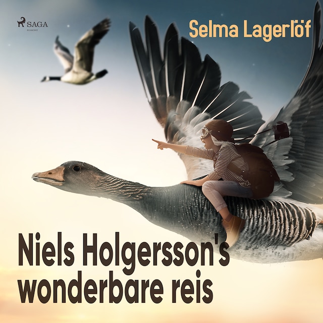 Book cover for Niels Holgersson's wonderbare reis