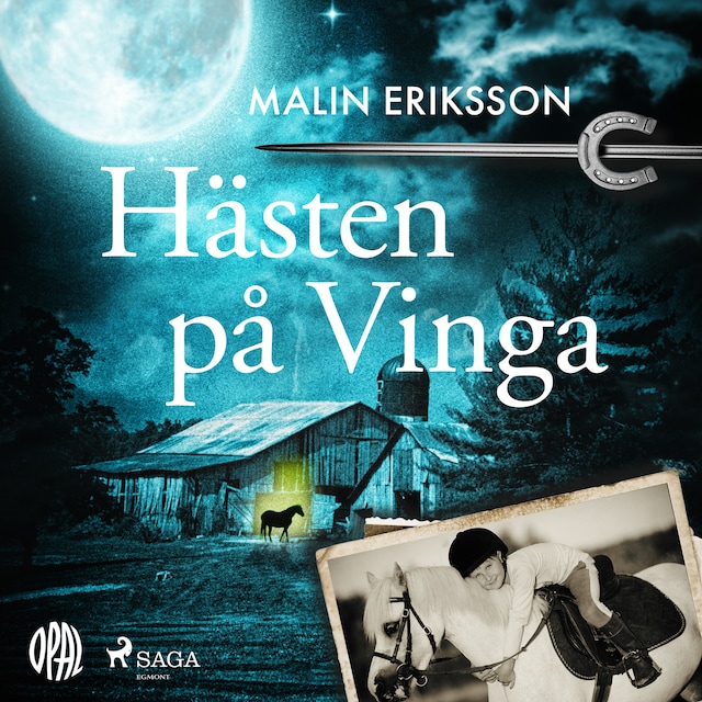Book cover for Hästen på Vinga