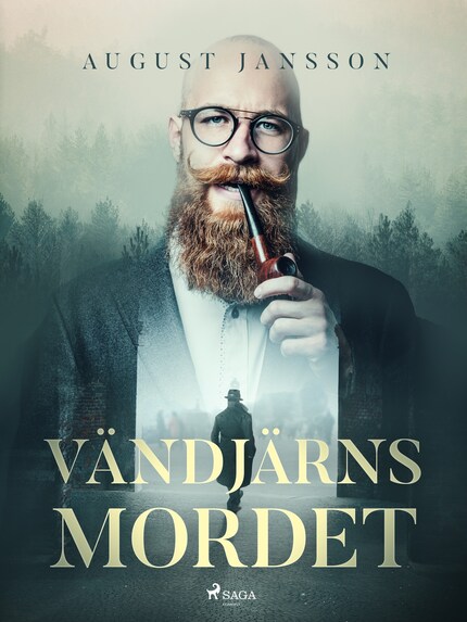 Vändjärnsmordet bookCoverFor