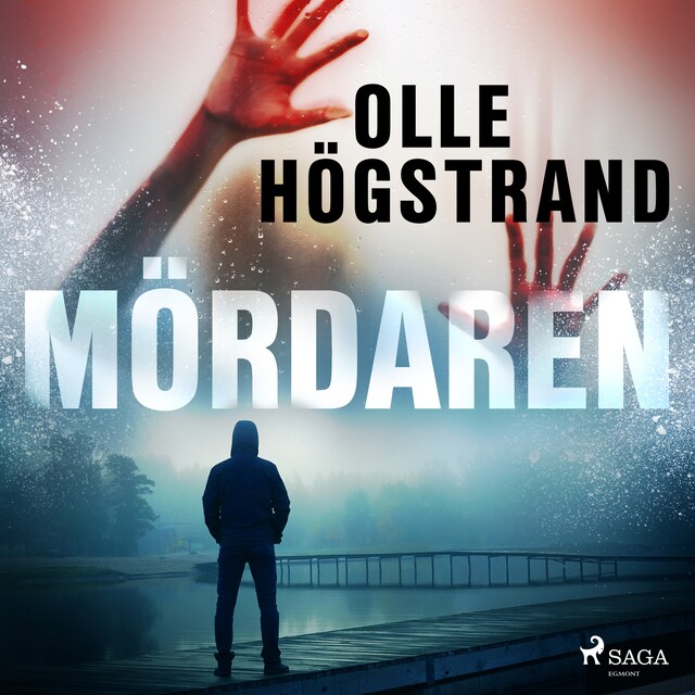 Book cover for Mördaren