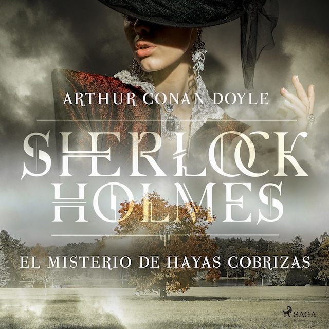 Book cover for El misterio de Hayas Cobrizas