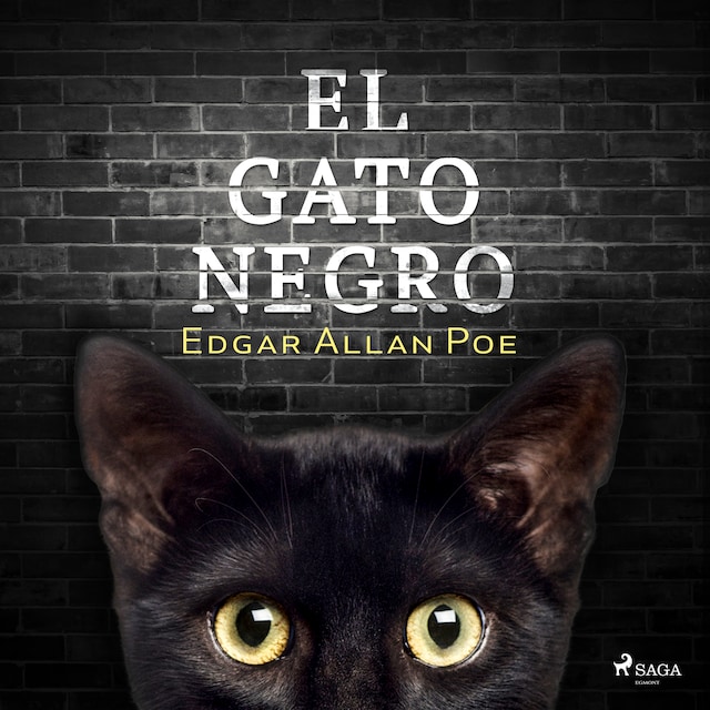 Bokomslag för El gato negro