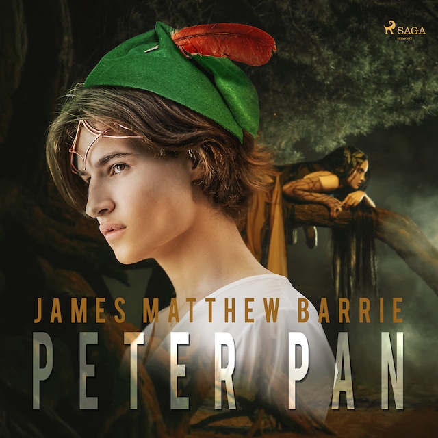 Boekomslag van Peter Pan