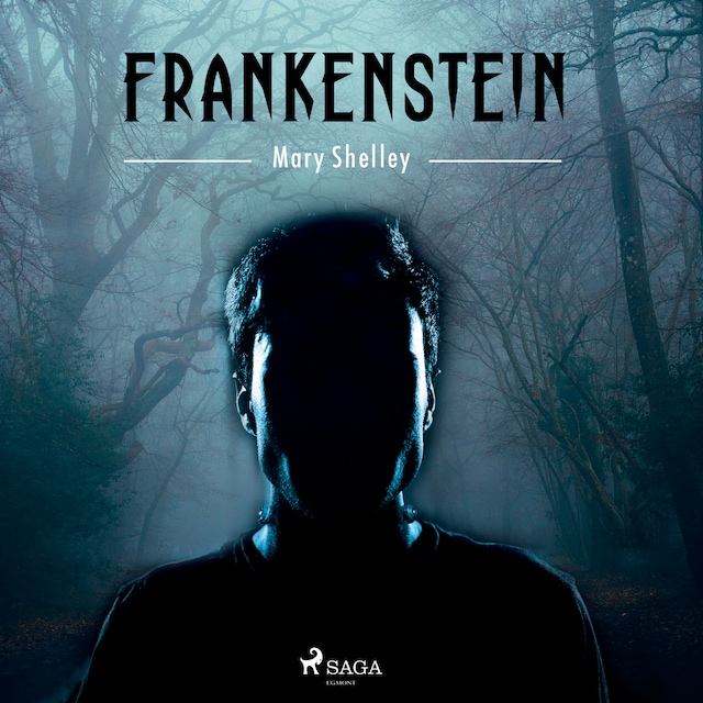 Book cover for Frankenstein