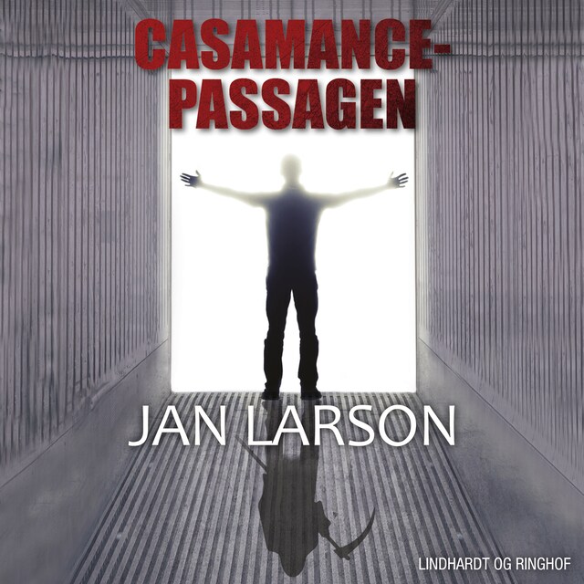 Book cover for Casamance-passagen