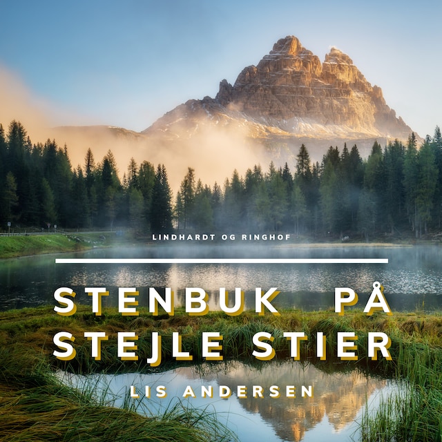 Book cover for Stenbuk på stejle stier