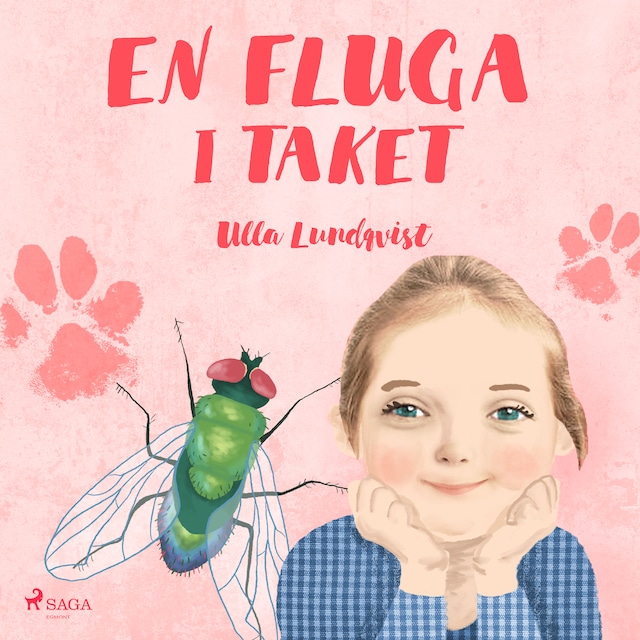 Book cover for En fluga i taket