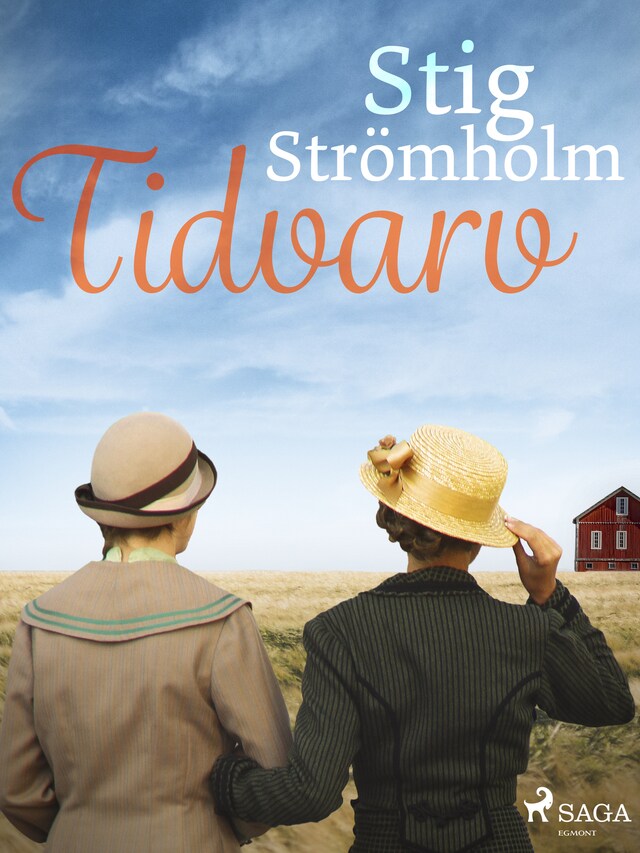 Book cover for Tidvarv