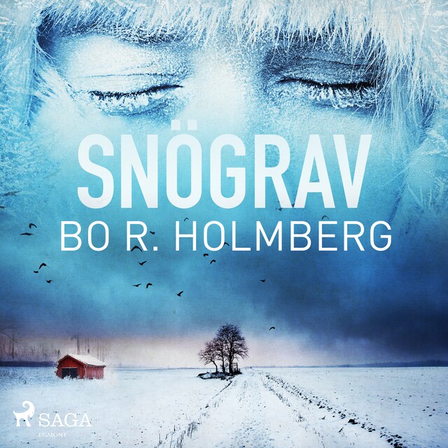Book cover for Snögrav