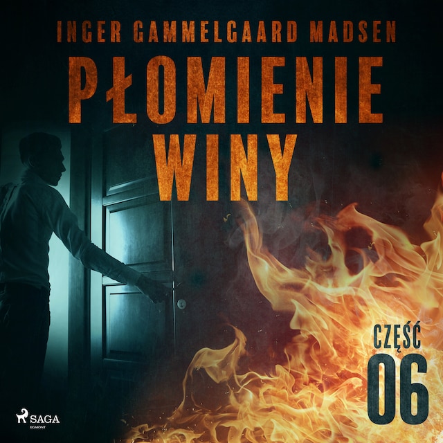 Book cover for Płomienie winy: część 6