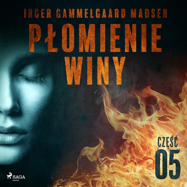 Book cover for Płomienie winy: część 5