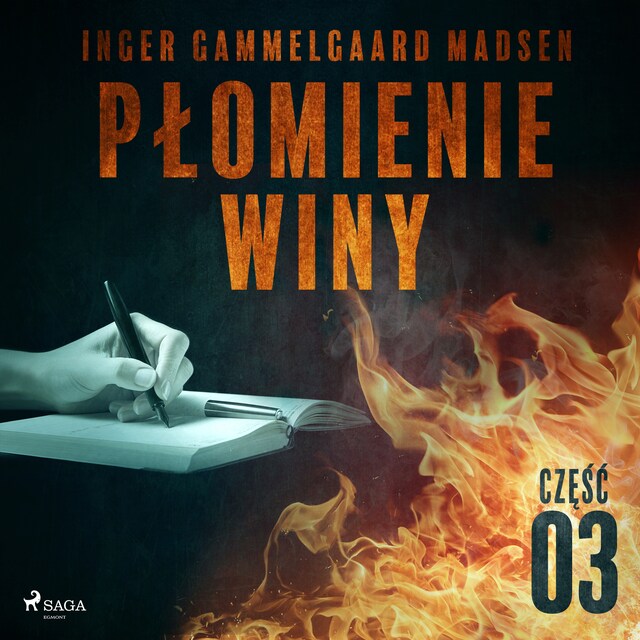 Book cover for Płomienie winy: część 3