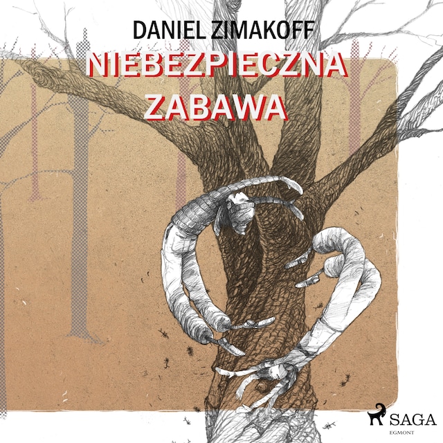 Book cover for Niebezpieczna zabawa