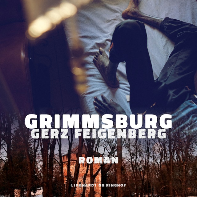 Boekomslag van Grimmsburg