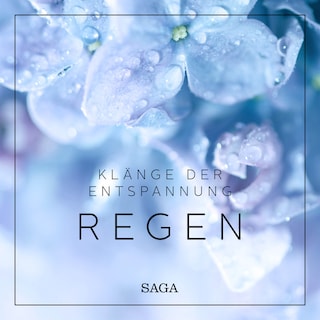 Klänge der Entspannung - Regen als Hörbuch