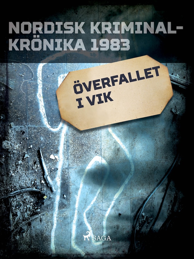 Okładka książki dla Överfallet i Vik