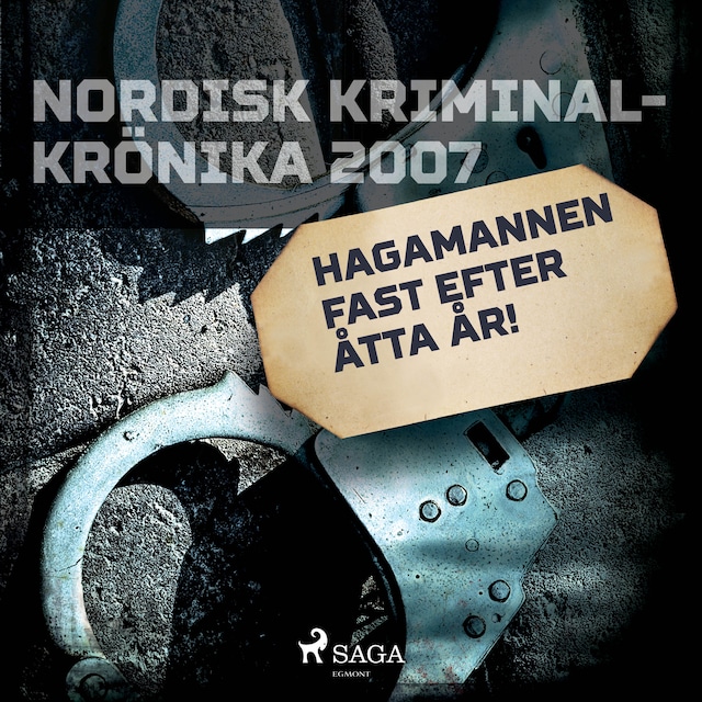 Book cover for Hagamannen fast efter åtta år!