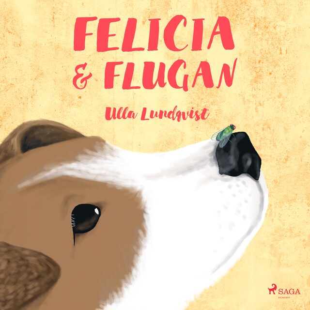 Couverture de livre pour Felicia och flugan