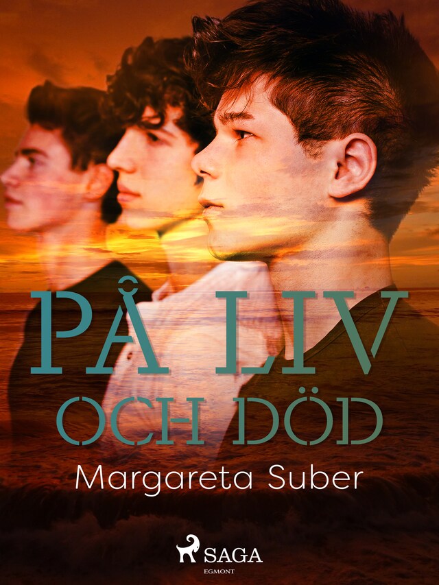 Copertina del libro per På liv och död