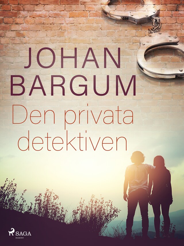 Book cover for Den privata detektiven