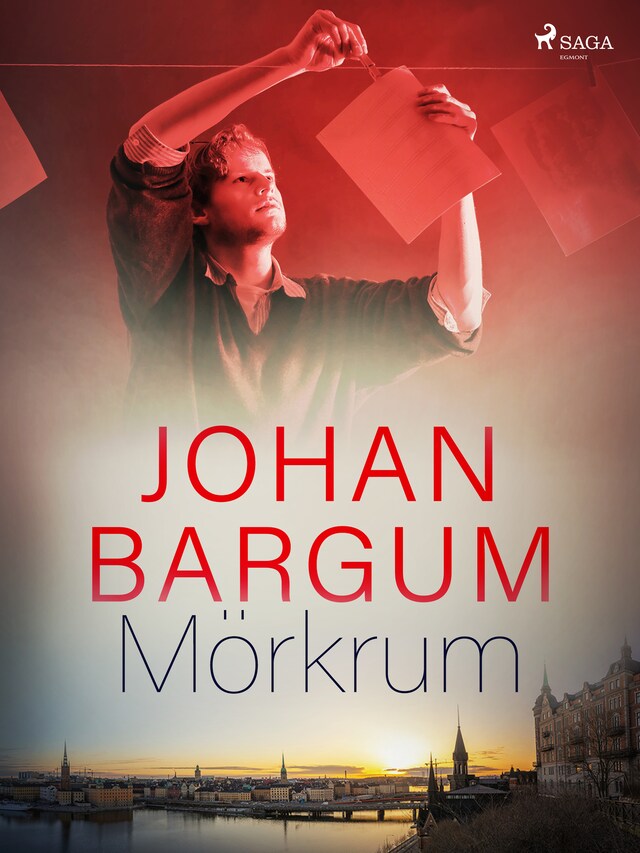 Book cover for Mörkrum