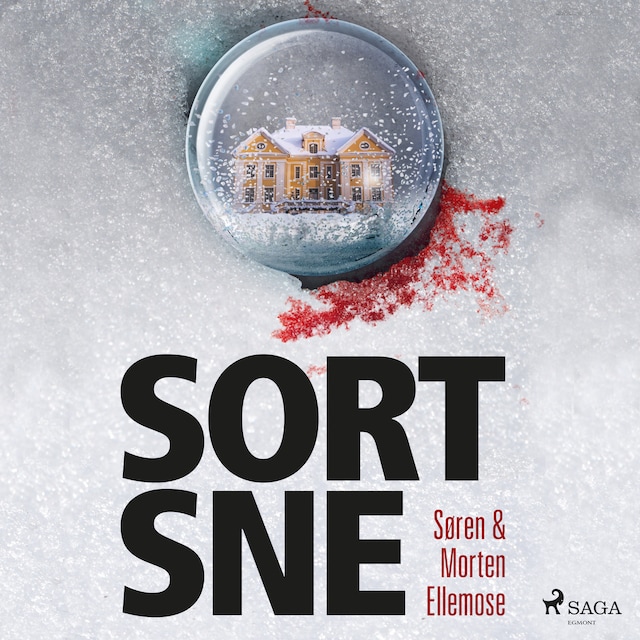 Book cover for Sort sne