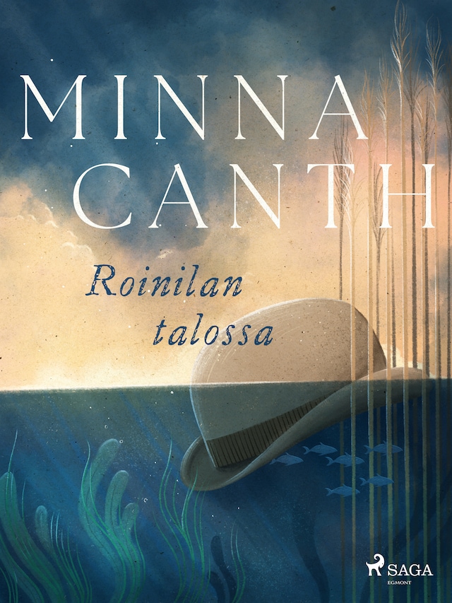 Book cover for Roinilan talossa