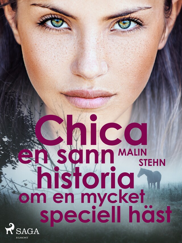 Book cover for Chica : en sann historia om en mycket speciell häst