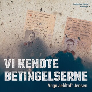 Vi kendte betingelserne lydbog