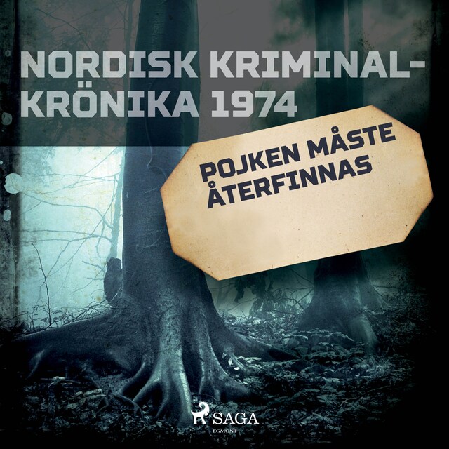 Book cover for Pojken måste återfinnas