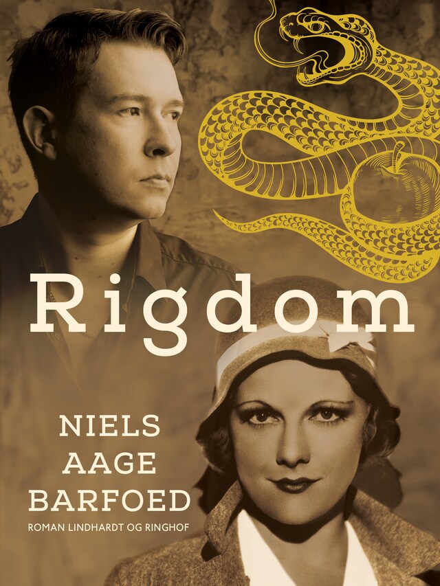 Couverture de livre pour Rigdom