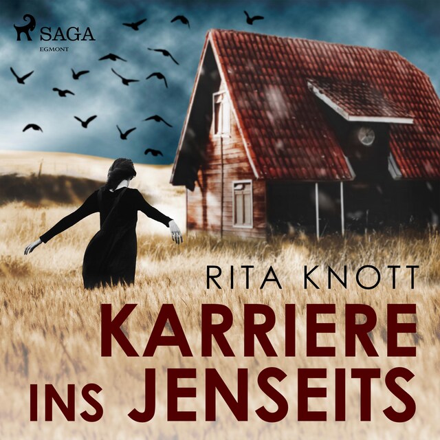 Book cover for Karriere ins Jenseits (Ungekürzt)
