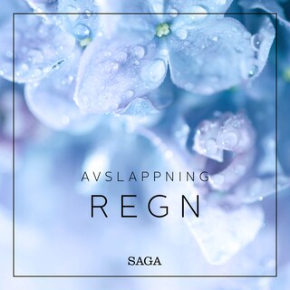 Avslappning - Regn bookCoverFor